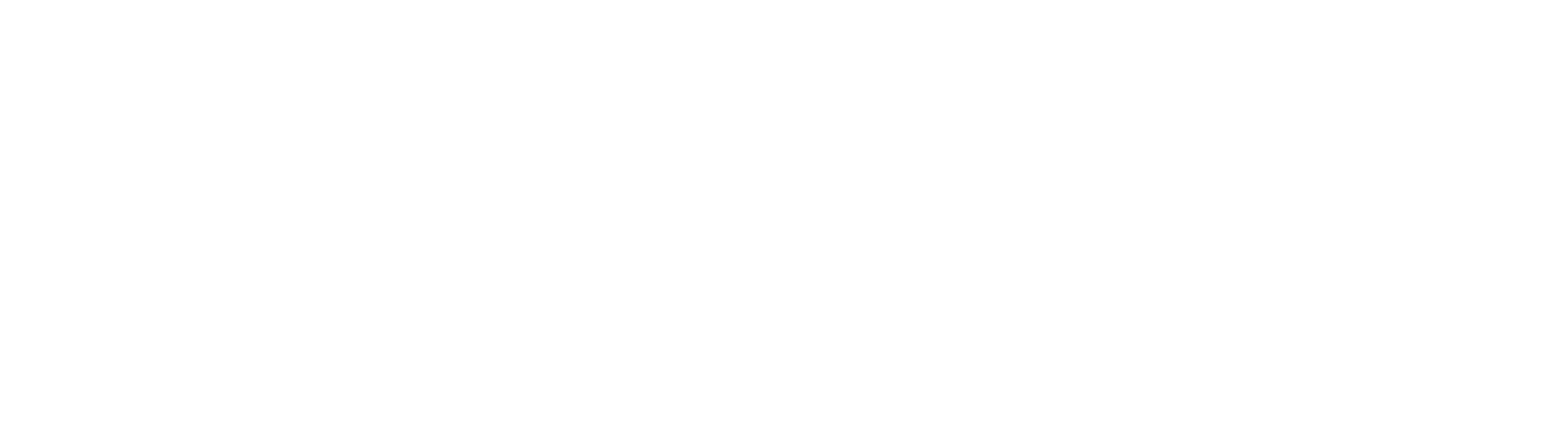 Steeger USA
